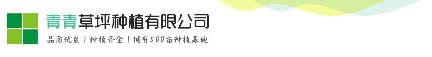 NG娱乐 - 让生活更具想象力